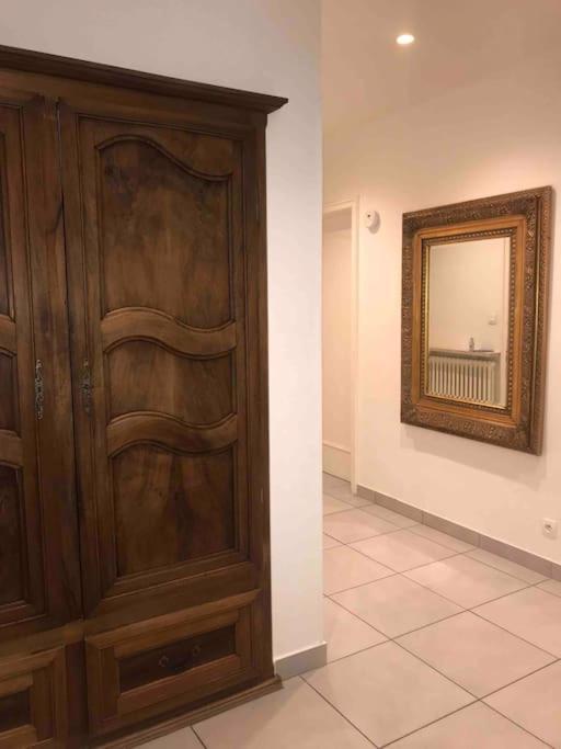 Appartement Des 3 Pays. 2 Mn De Bale+ Free Parking Saint-Louis  Exterior foto