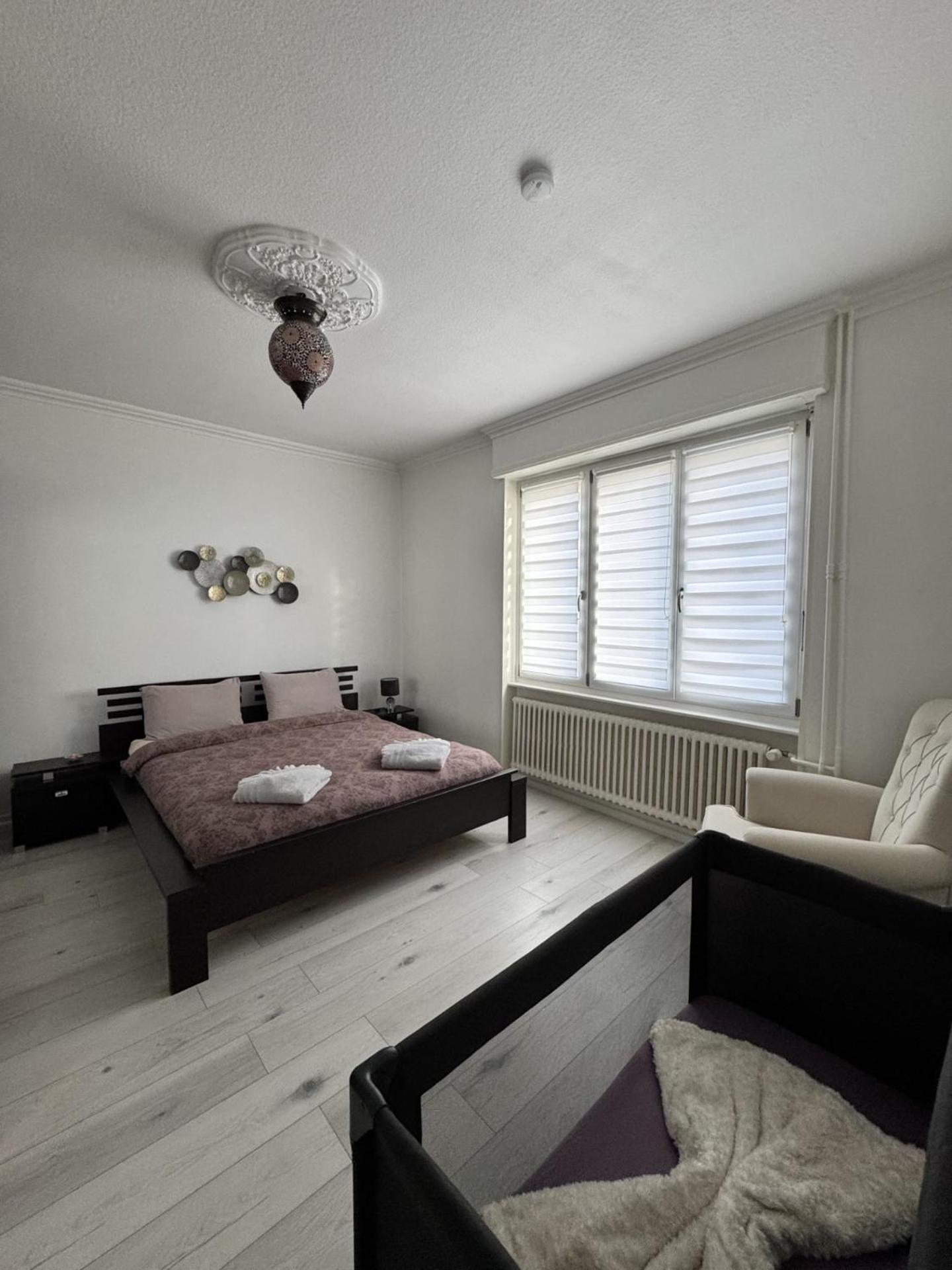 Appartement Des 3 Pays. 2 Mn De Bale+ Free Parking Saint-Louis  Exterior foto