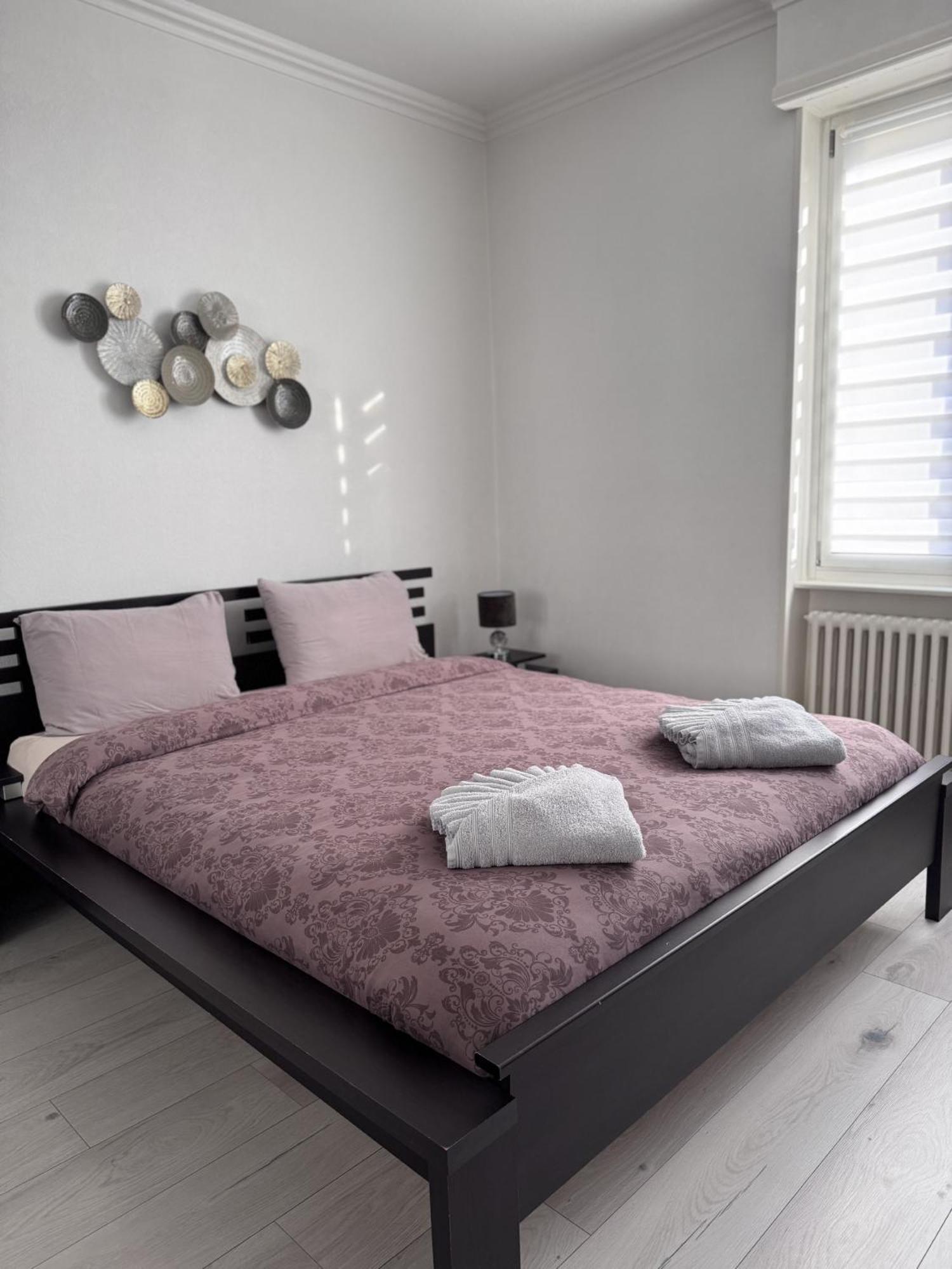 Appartement Des 3 Pays. 2 Mn De Bale+ Free Parking Saint-Louis  Exterior foto